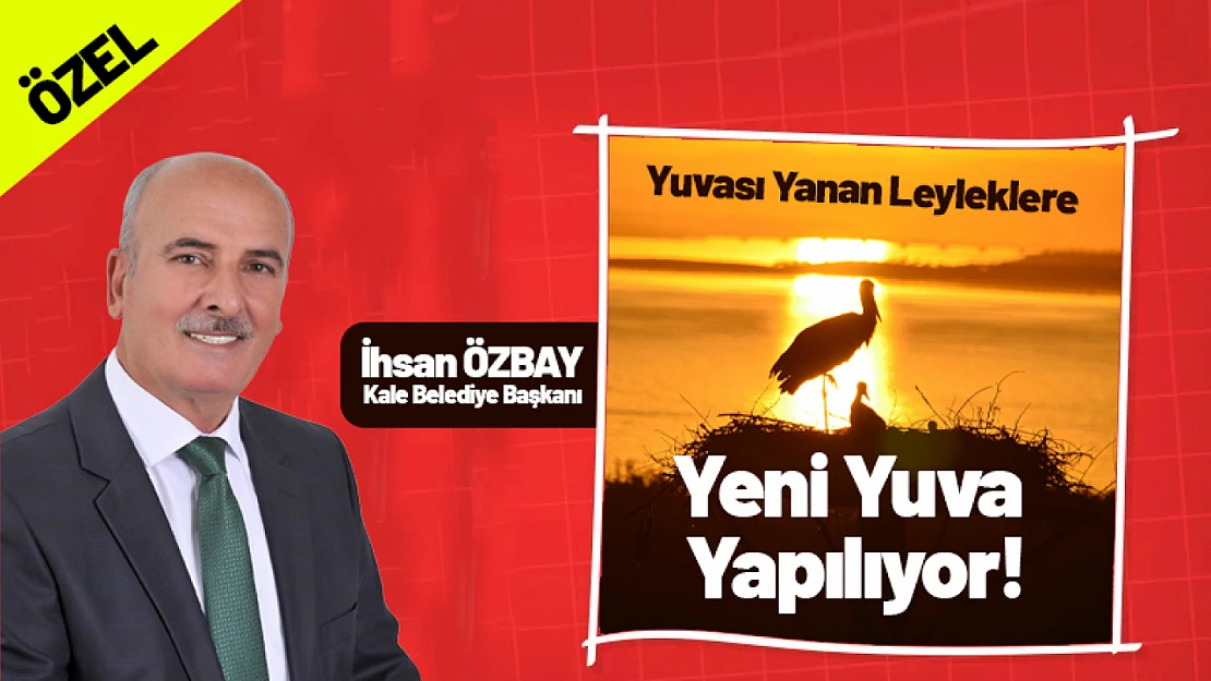 Yuvası Yanan Leyleklere Yeni Yuva Yapılıyor!