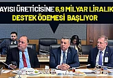 Kayısı Üreticisine 6,9 Milyar Liralık Destek Ödemesi Başlıyor