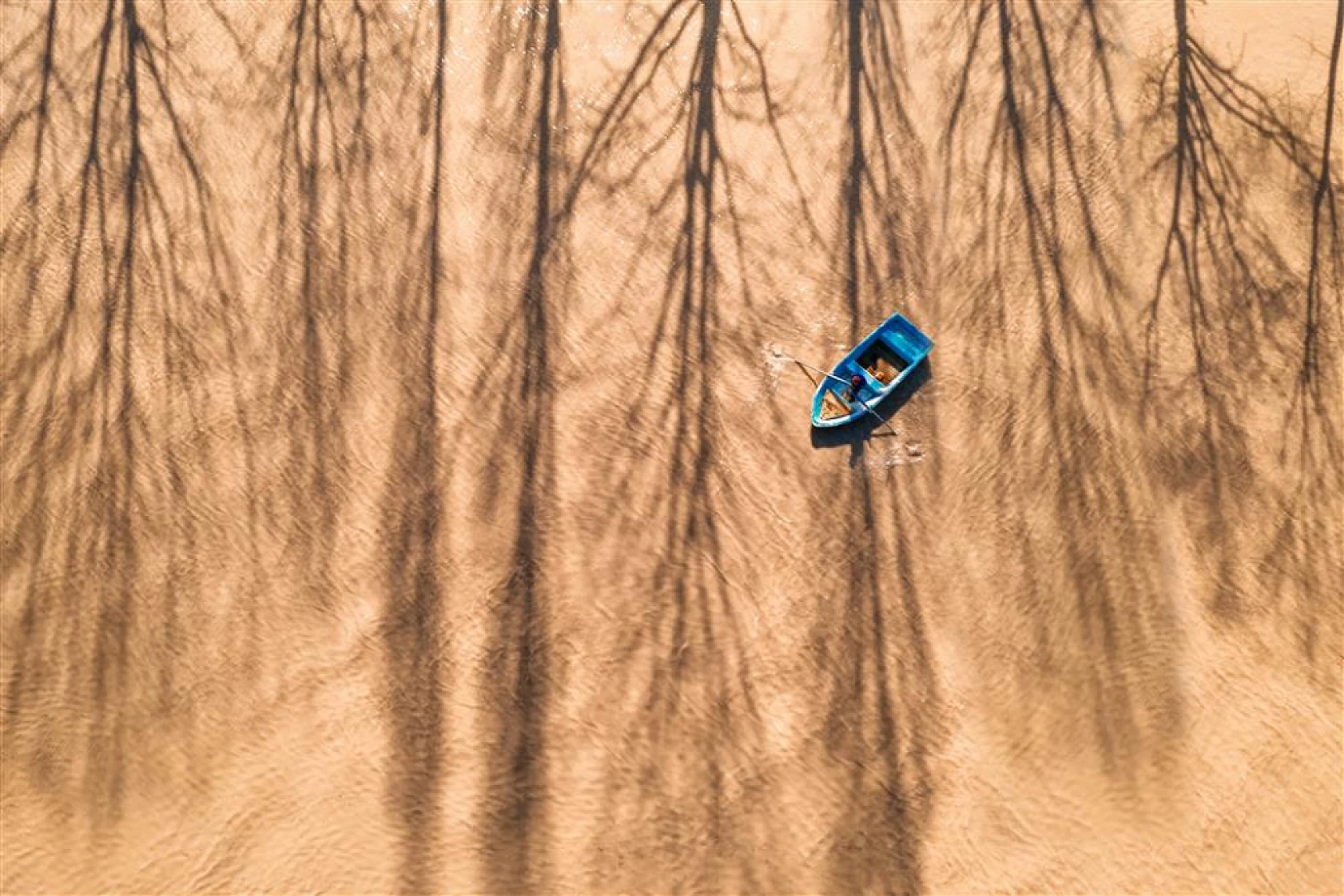 21. Devlet Fotoğraf Yarışması Sonuçlandı