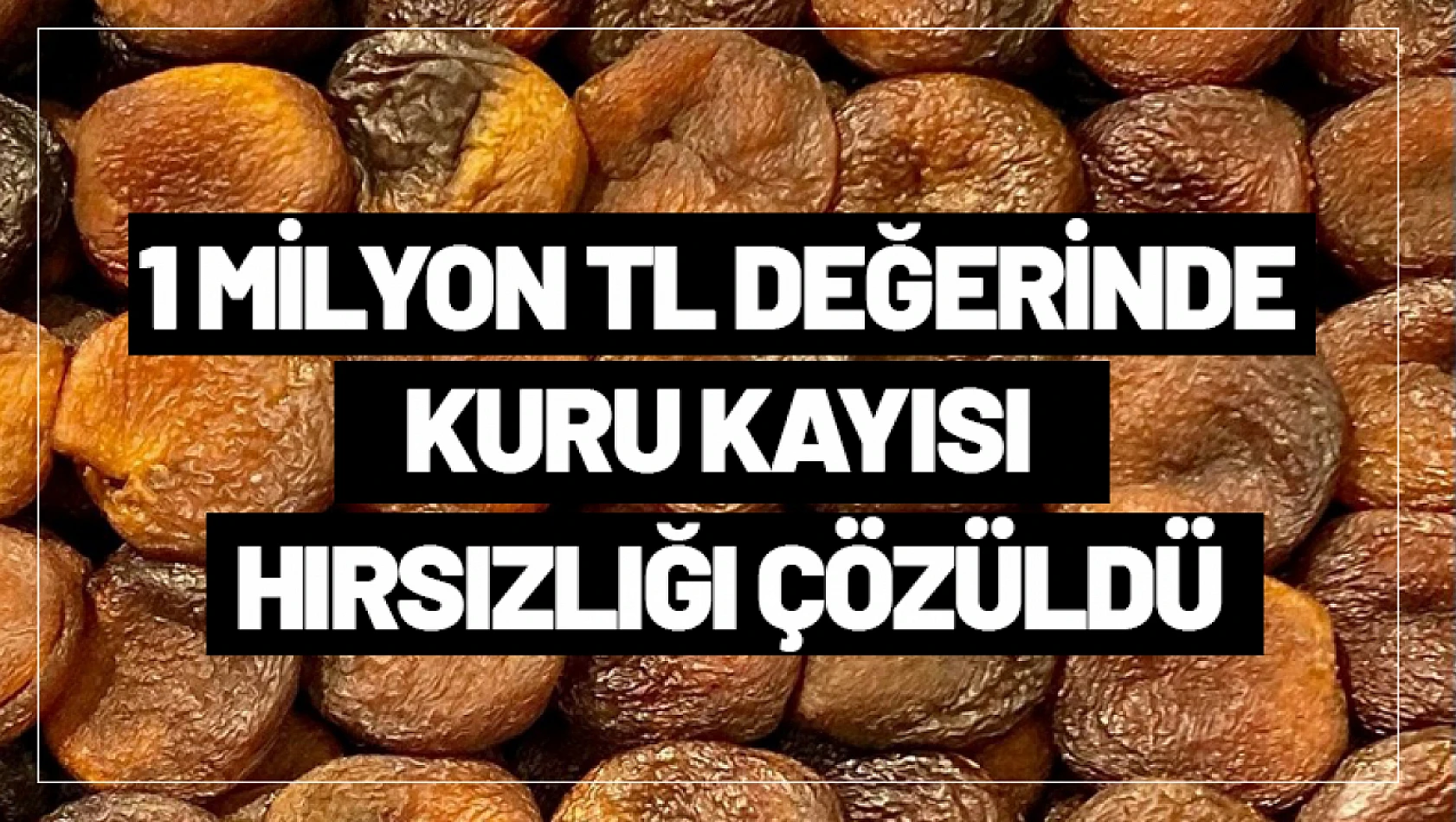 1 Milyon TL Değerinde Kuru Kayısı Hırsızlığı Çözüldü