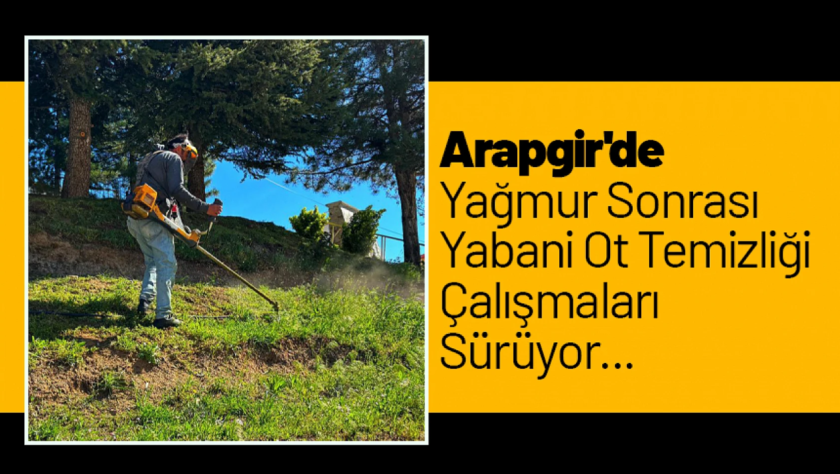 Arapgir'de  Yağmur Sonrası  Yabani Ot Temizliği Çalışmaları Sürüyor...