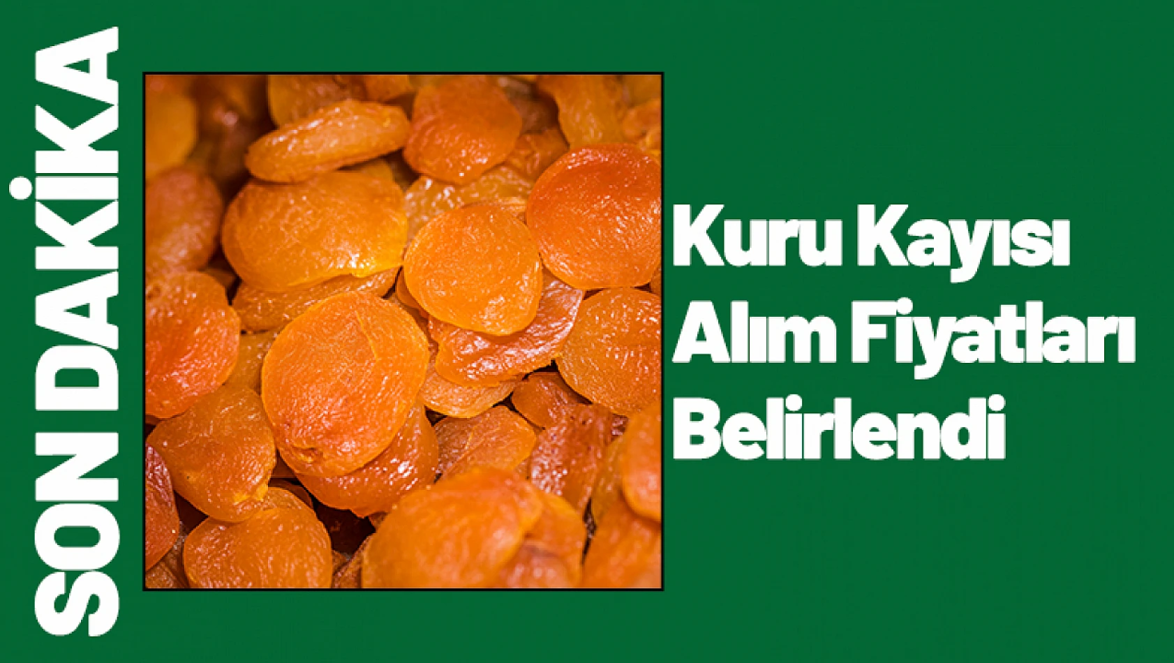 Kuru Kayısı Alım Fiyatları Belirlendi