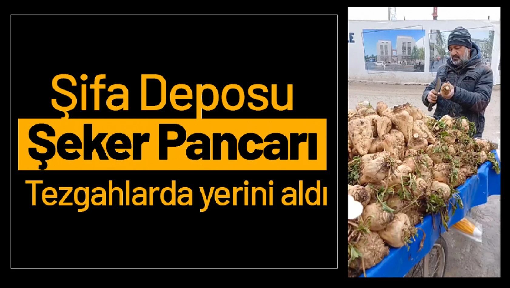 Şifa Deposu 'Şeker Pancarı' Tezgahlarda yerini aldı