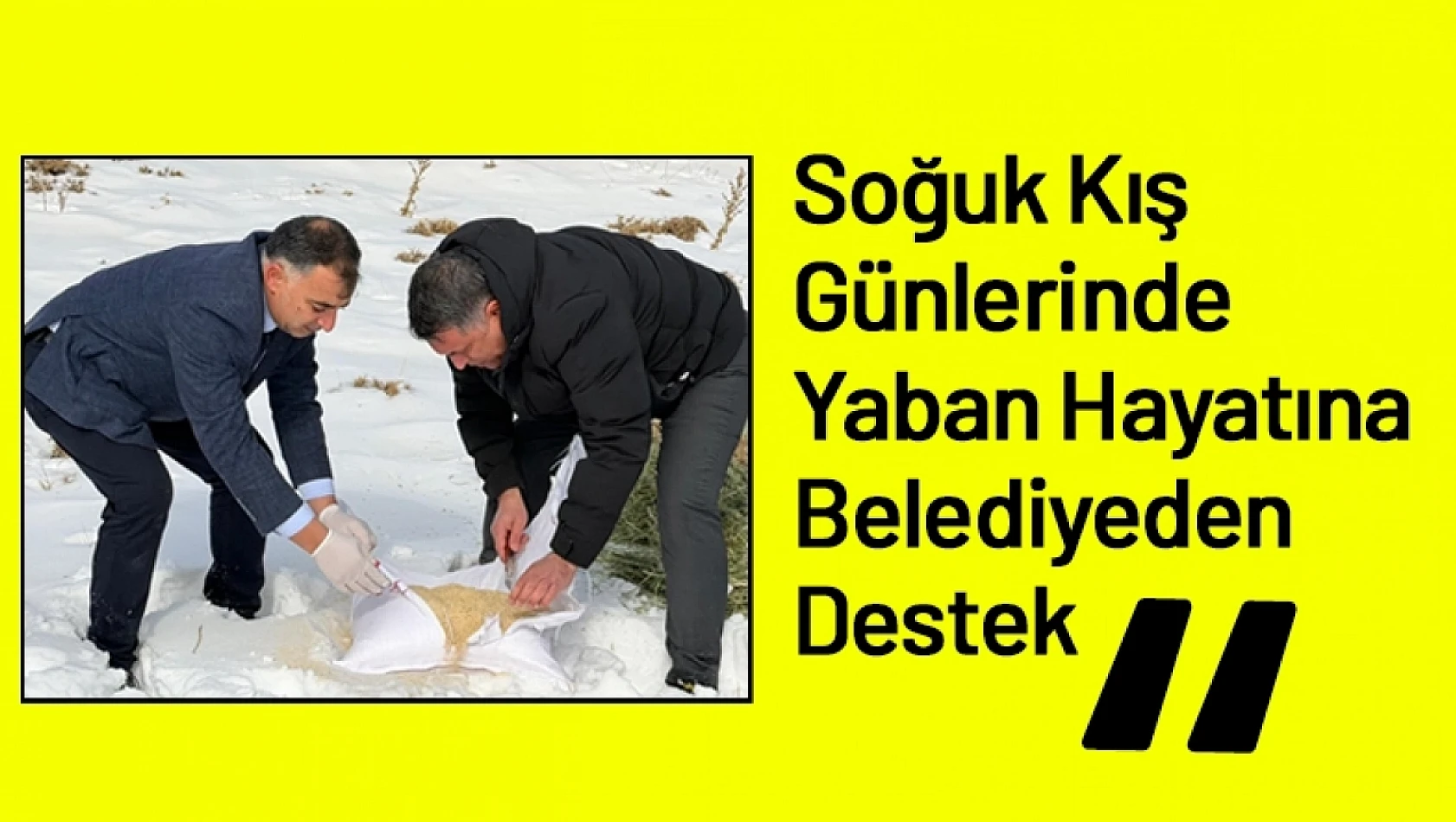 Soğuk Kış Günlerinde Yaban Hayatına Belediyeden Destek