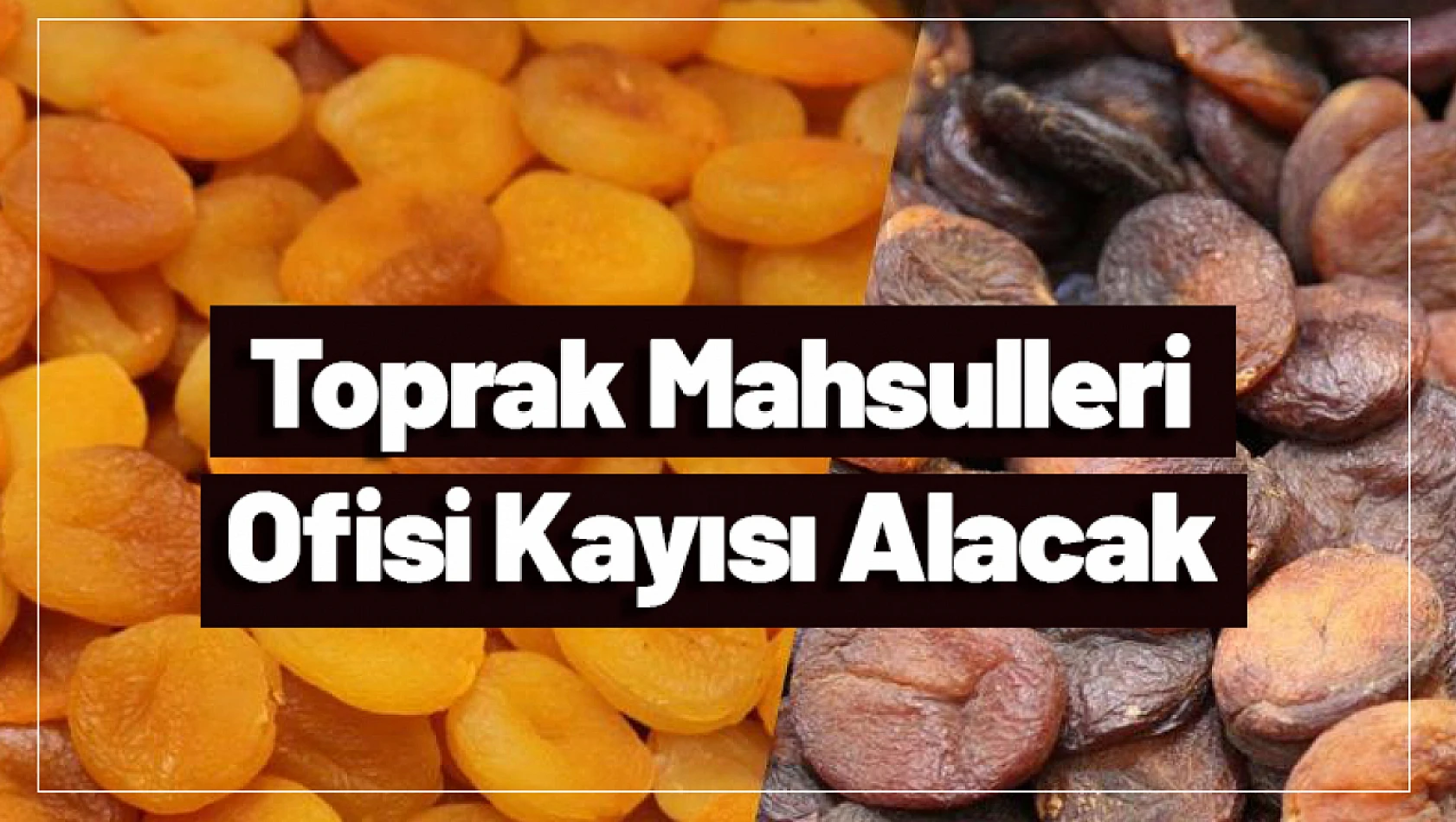 Toprak Mahsulleri Ofisi Kayısı Alacak...