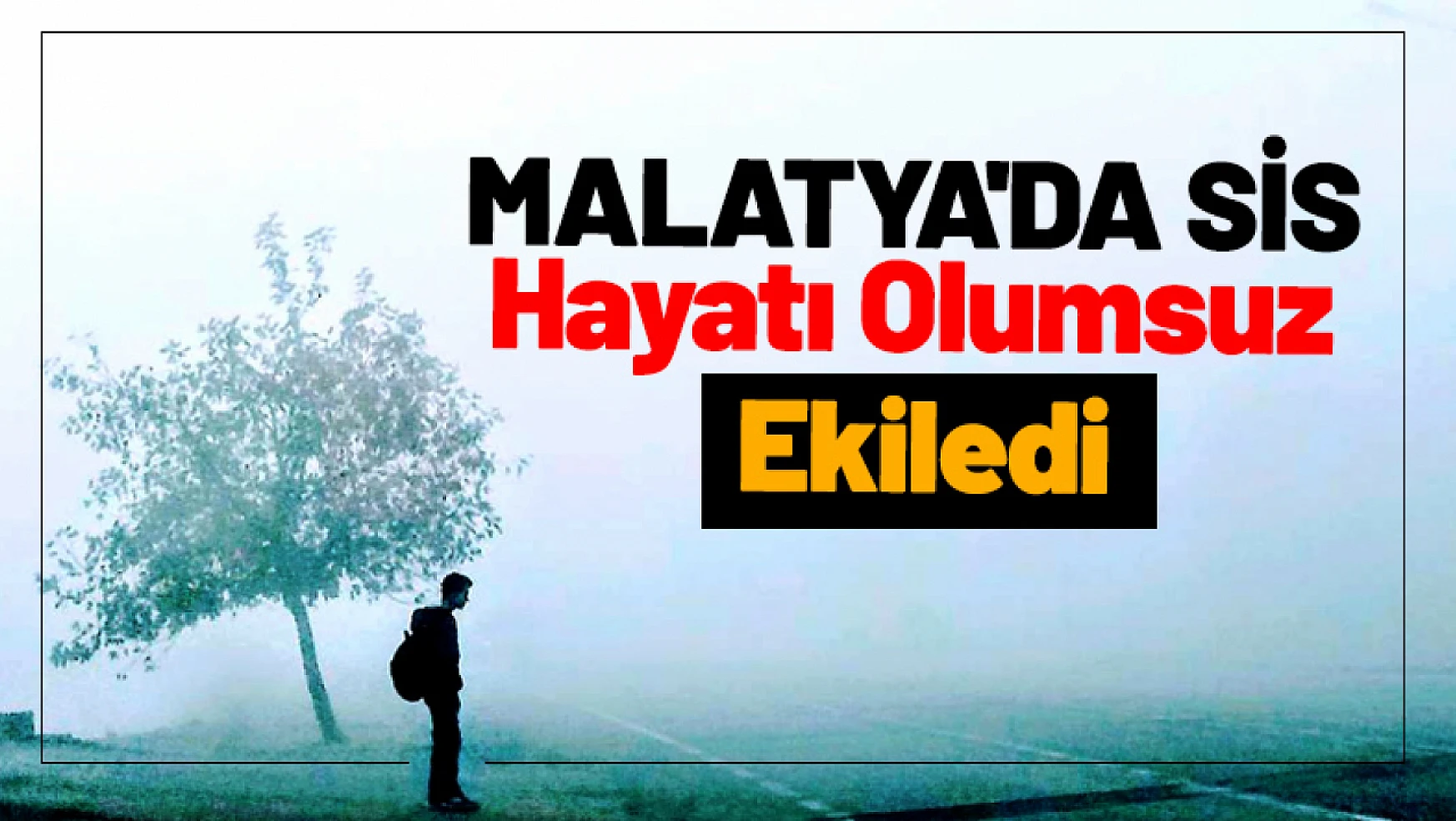 Malatya'da Sis Hayatı Olumsuz Etkiledi...