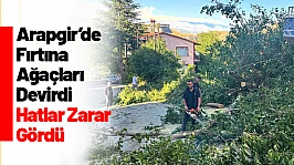 Arapgir'de Fırtına Ağaçları Devrdi, Hatlar Zarar Gördü