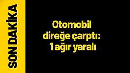 Otomobil direğe çarptı: 1 ağır yaralı