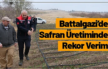 Battalgazi'de Safran Üretiminde Rekor Verim
