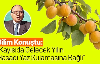 Bilim Konuştu: Kayısıda Gelecek Yılın Hasadı Yaz Sulamasına Bağlı