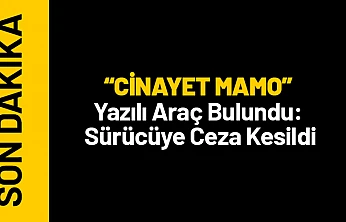 'CİNAYET MAMO' Yazılı Araç Bulundu: Sürücüye Ceza Kesildi