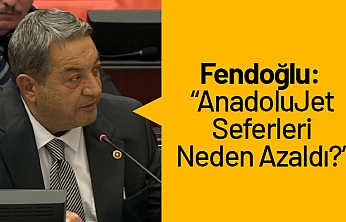 Fendoğlu: 'AnadoluJet Seferleri Neden Azaldı?'