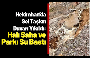 Hekimhan'da Sel Taşkın Duvarı Yıkıldı: Halı Saha ve Parkı Su Bastı