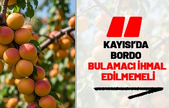 Kayısı Bahçelerinde Bordo Bulamacı İhmal Edilmemeli