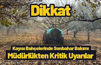Kayısı Bahçelerinde Sonbahar Bakımı: Müdürlükten Kritik Uyarılar