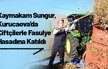 Kaymakam Sungur, Kurucaova'da Çiftçilerle Fasulye Hasadına Katıldı