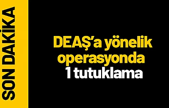 Malatya'da DEAŞ'a yönelik operasyonda 1 tutuklama