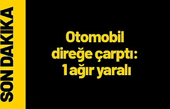Otomobil direğe çarptı: 1 ağır yaralı