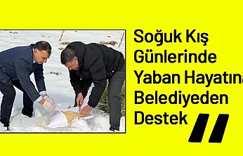 Soğuk Kış Günlerinde Yaban Hayatına Belediyeden Destek