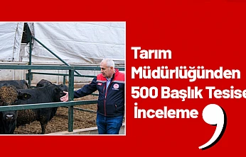 Tarım Müdürlüğünden 500 Başlık Tesise İnceleme