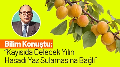 Bilim Konuştu: Kayısıda Gelecek Yılın Hasadı Yaz Sulamasına Bağlı