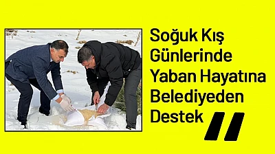 Soğuk Kış Günlerinde Yaban Hayatına Belediyeden Destek