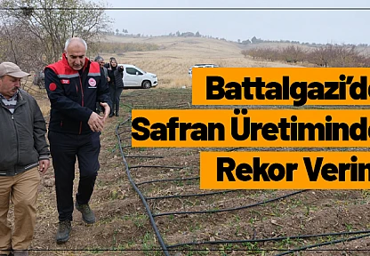 Battalgazi'de Safran Üretiminde Rekor Verim