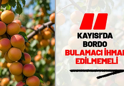 Kayısı Bahçelerinde Bordo Bulamacı İhmal Edilmemeli