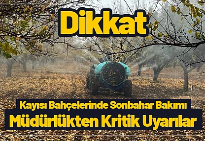 Kayısı Bahçelerinde Sonbahar Bakımı: Müdürlükten Kritik Uyarılar