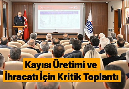 Kayısı Üretimi ve İhracatı İçin Kritik Toplantı