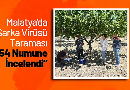 Malatya'da Şarka Virüsü Taraması: 154 Numune İncelendi