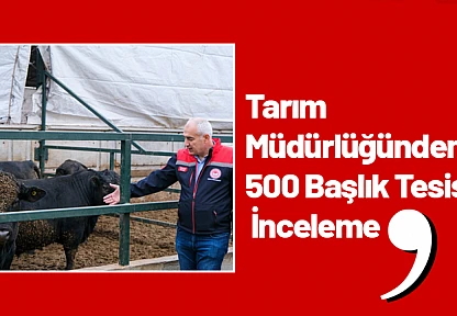 Tarım Müdürlüğünden 500 Başlık Tesise İnceleme