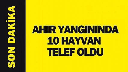 Doğanşehir'de Ahır Yangını: 10 Hayvan Telef Oldu