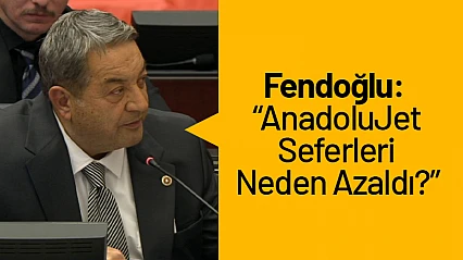 Fendoğlu: 'AnadoluJet Seferleri Neden Azaldı?'