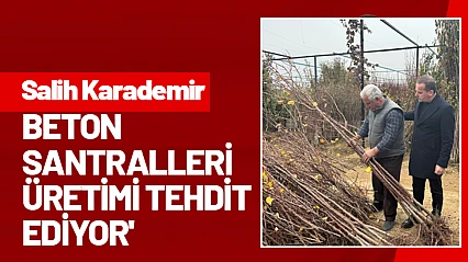 Karademir: 'Beton santralleri üretimi tehdit ediyor'