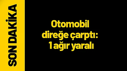 Otomobil direğe çarptı: 1 ağır yaralı