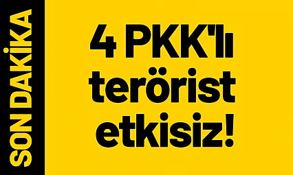 4 PKK'lı terörist etkisiz!