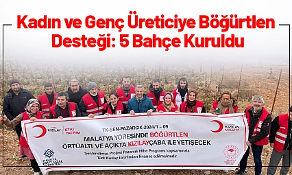 Kadın ve Genç Üreticiye Böğürtlen Desteği: 5 Bahçe Kuruldu