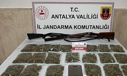 Korkuteli'nde Uyuşturucu Operasyonu: 16,8 Kilo Skunk Ele Geçirildi