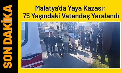 Malatya'da Yaya Kazası: 75 Yaşındaki Vatandaş Yaralandı