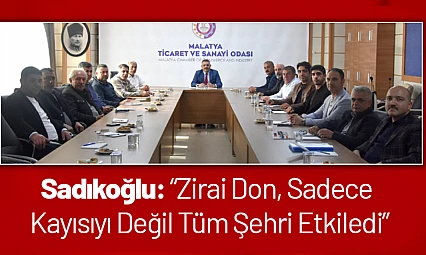 Sadıkoğlu: 'Zirai Don, Sadece Kayısıyı Değil Tüm Şehri Etkiledi'