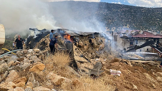 Doğanşehir'de Ahır Yangını: 10 Hayvan Telef Oldu