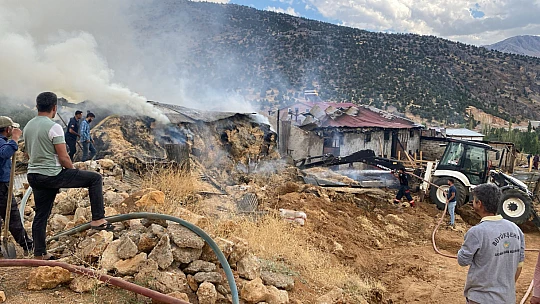 Doğanşehir'de Ahır Yangını: 10 Hayvan Telef Oldu