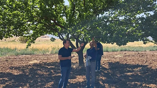 Malatya'da Şarka Virüsü Taraması: 154 Numune İncelendi