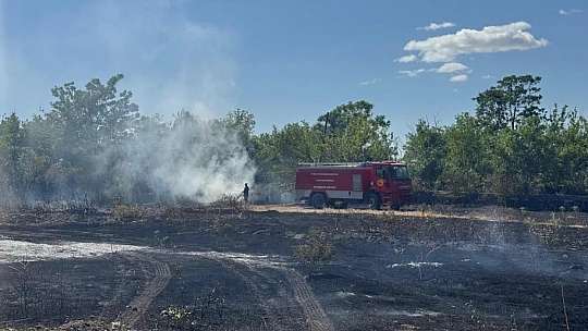 Kale'de Yangın: 9 Dönüm Buğday ve 85 Kayısı Ağacı Zarar Gördü