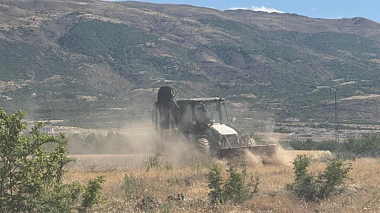 Kale'de Yangın: 9 Dönüm Buğday ve 85 Kayısı Ağacı Zarar Gördü