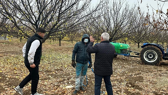Kayısı Bahçelerinde Sonbahar Bakımı: Müdürlükten Kritik Uyarılar