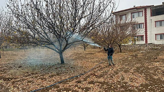 Kayısı Bahçelerinde Sonbahar Bakımı: Müdürlükten Kritik Uyarılar