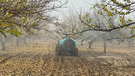 Kayısı Bahçelerinde Sonbahar Bakımı: Müdürlükten Kritik Uyarılar