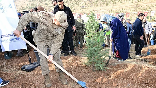 Deprem Şehitleri İçin 1246 Fidan Dikildi...